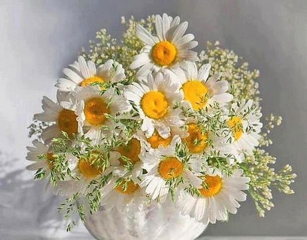 Ольга Кривонос