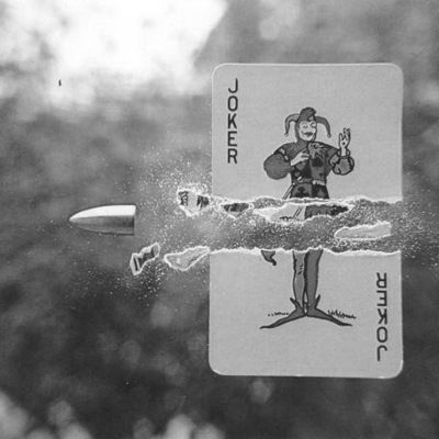 Никита Гончаров