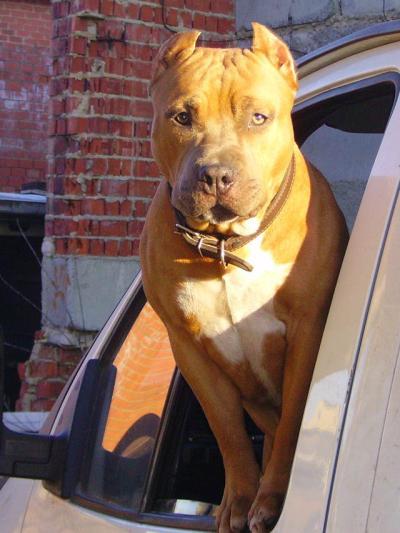 Серёга Агафонов