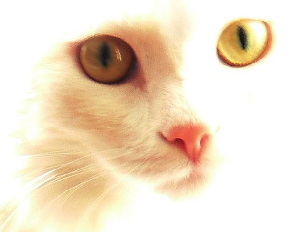 Вишневая )))