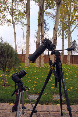 Юрий Охрименко