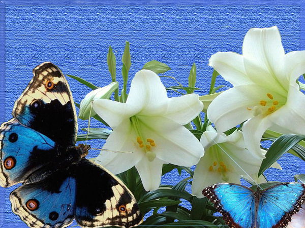 Елена Юрьевна