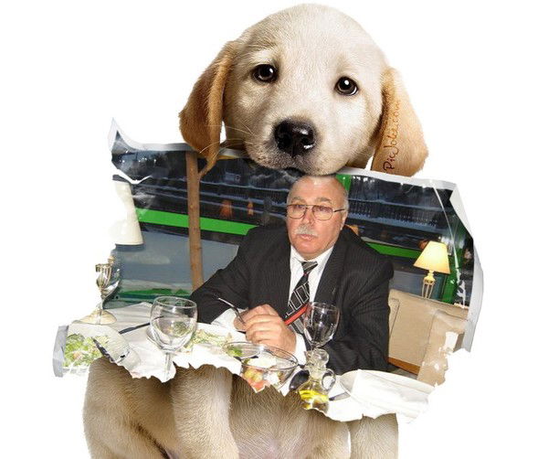 Евгений Громов