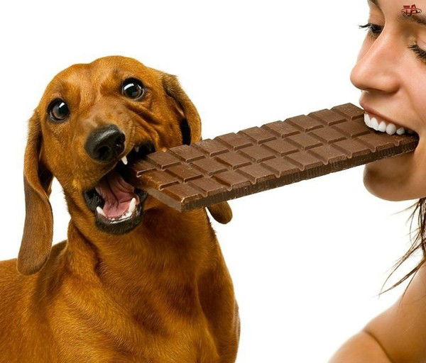 Ольга Голованова