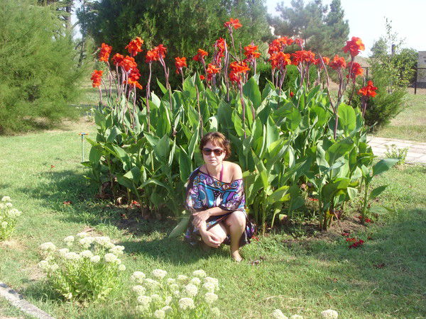 Елена Гордиенко