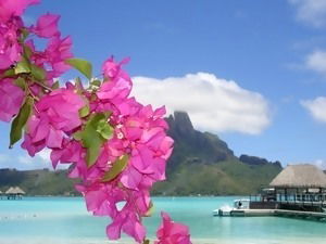 Марина Шитеева