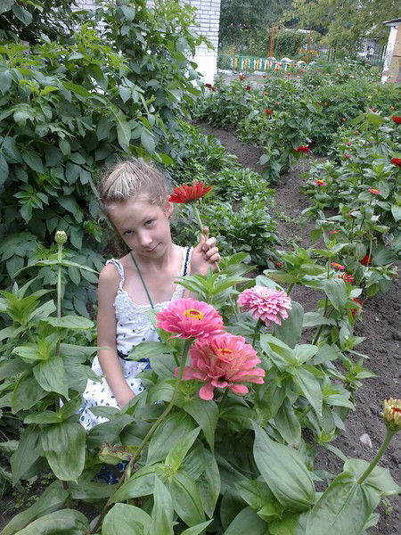 Полина Корченова