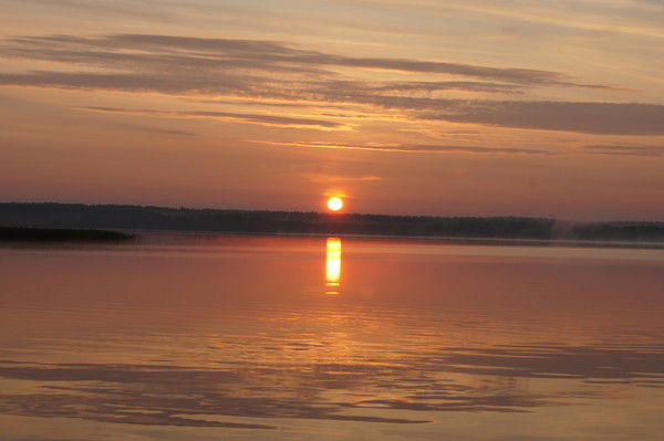 Надежда Турчина