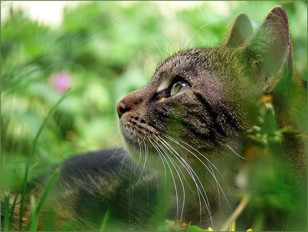 Яна Сушко (Диденко)