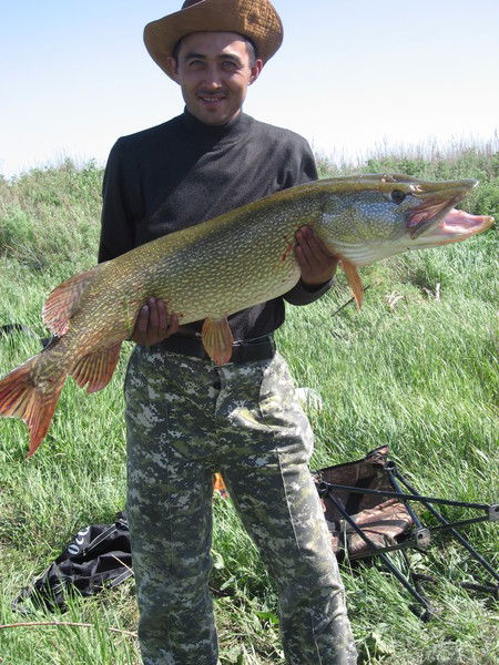 Камшибек Абдыгалыков