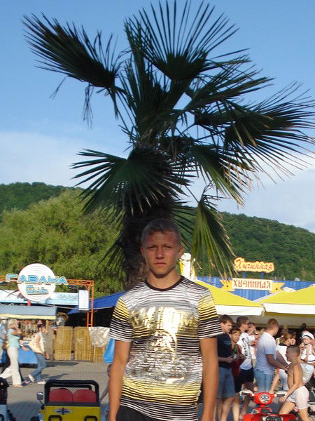 Александр Плаксин