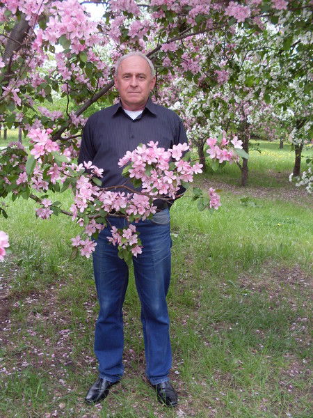 Александр Соловьёв