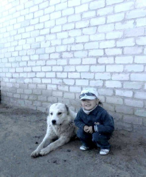 Рулан Таттенов