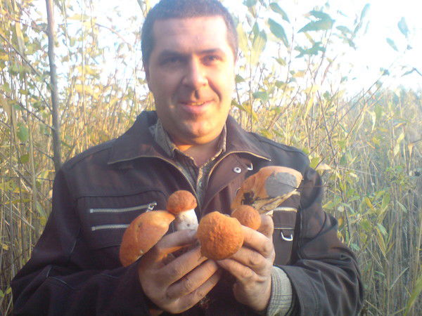 Богдан Мироненко