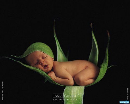 Жанна Жакипбекова