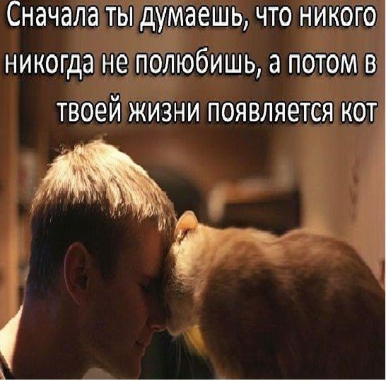 Владимир Ташлыков