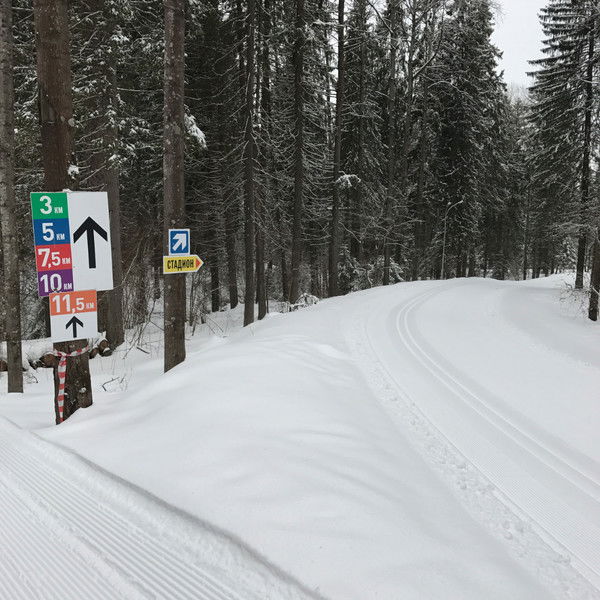 Андрей Поздеев