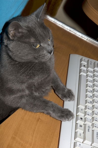 Рома Кучерук