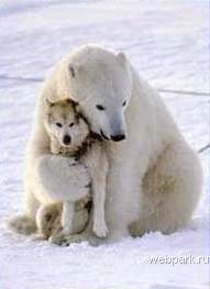 Никита Кокушев