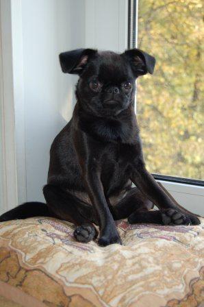 Марина Гордиенко