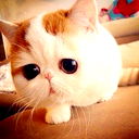 Толян Коськин