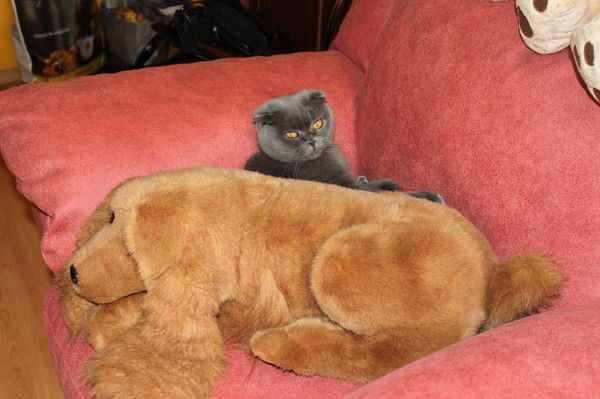 Татьяна Крюкова