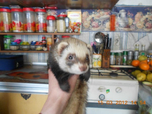 Сергей Иргалин