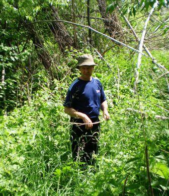 Александр Звягинцев