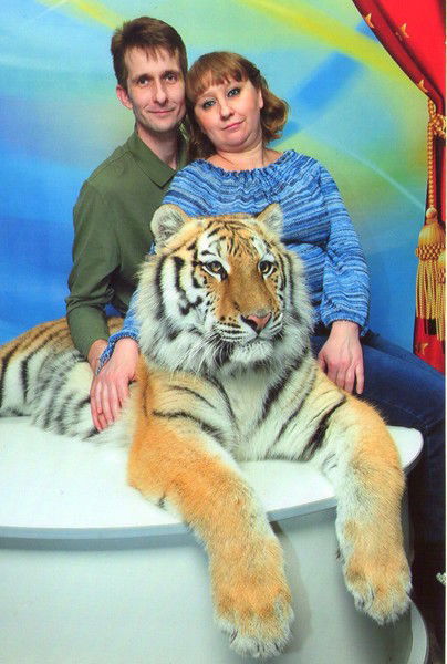 Евгений Королев