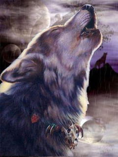 Дима Дружилов