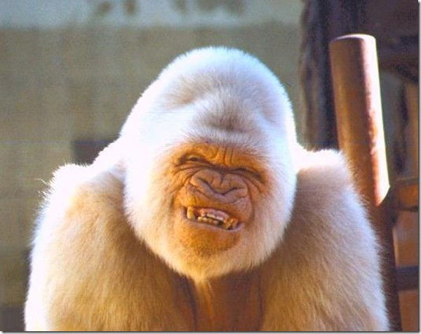 Василий Хоменко