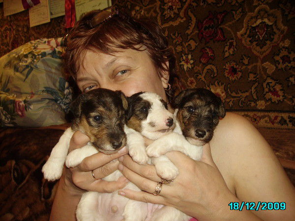 Катерина Андреева