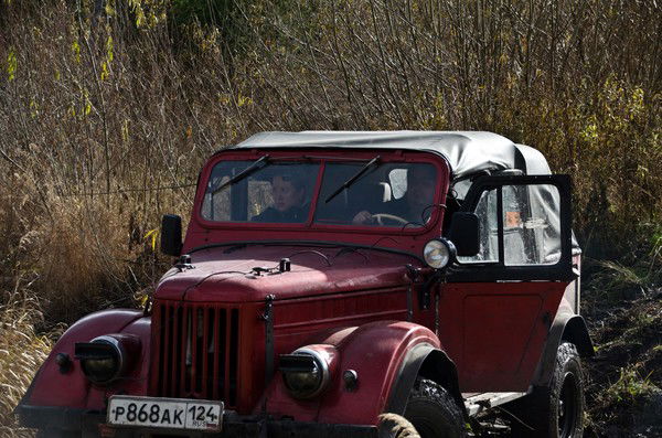 Дмитрий Гарманов