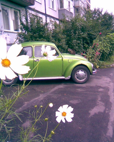 Ирина Хижняк