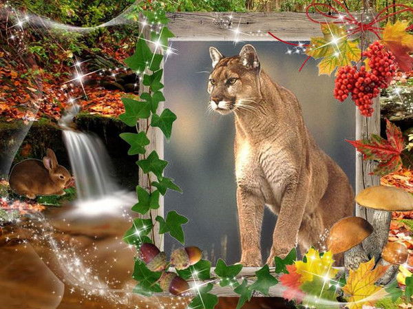 Ирина Подкорытова