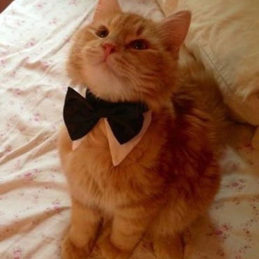 Катя Калинская