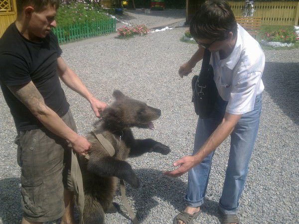 Евгений Кудрявцев