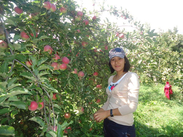 Бермет Толомушева