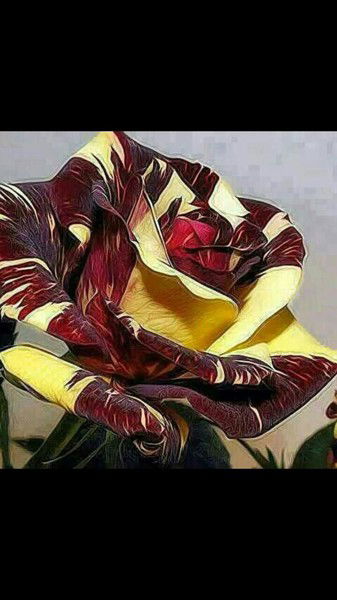 Хасанова Баянсулу