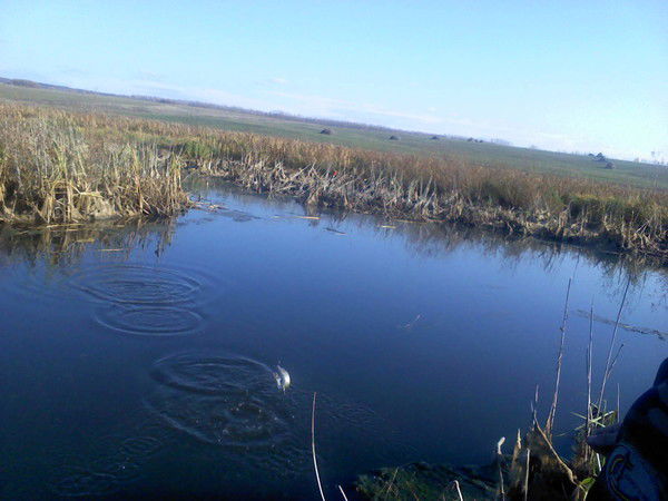 Александр Ковалинский