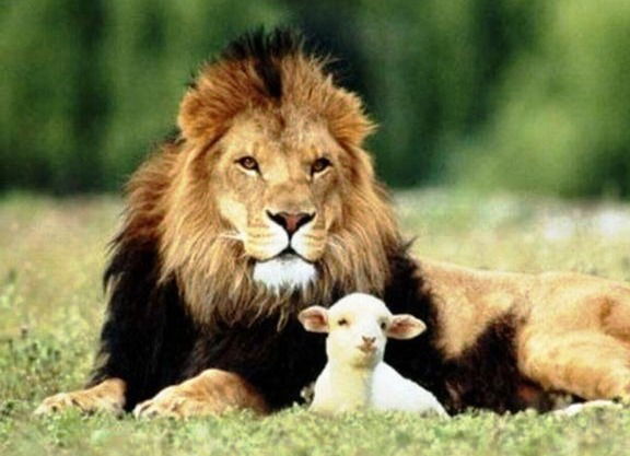 Бекболот Жапаров