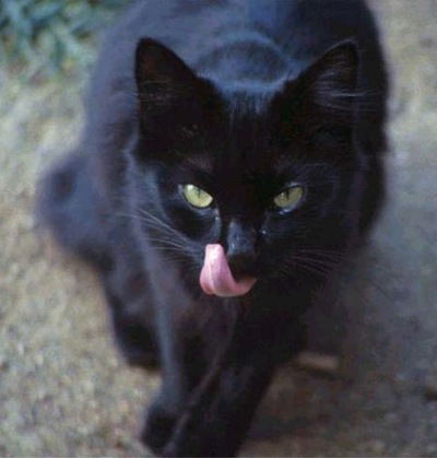 Ольга Смирнова