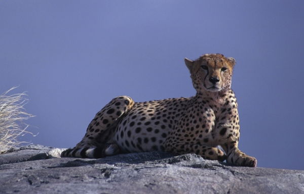 Анна Федорова