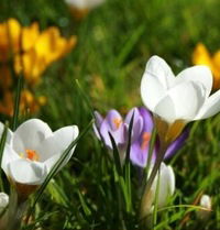 Юлия Иванова