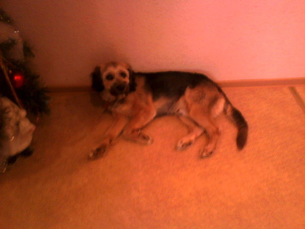 Павел Мухлаев