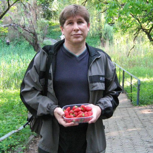 Александр Сергиенко