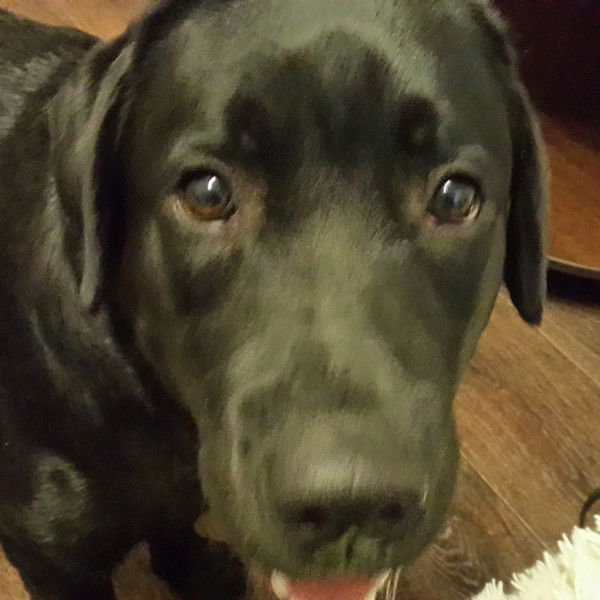 Ольга Изотова