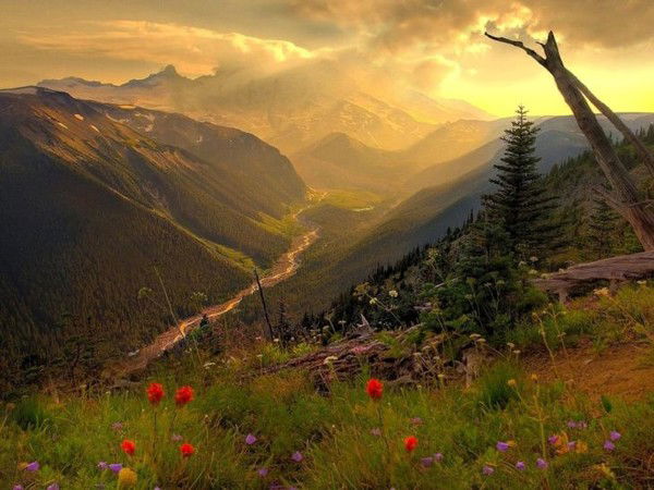 Влад Груздов