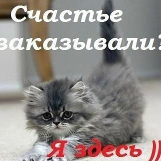 Ванчос Суханкин