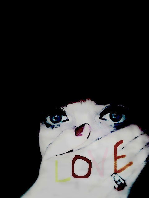 Анастасия Войтенко